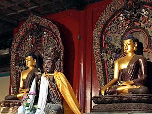 2023 02 05  PEKIN - WANSHOU TEMPLE LONGEVITE BIENVEILLANCE (30)